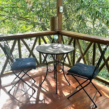 Caoni Riverside Lodge Puerto Quito Zewnętrze zdjęcie
