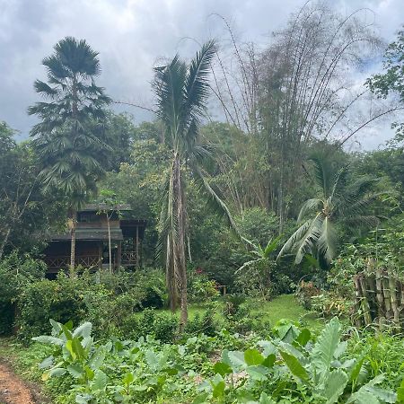 Caoni Riverside Lodge Puerto Quito Zewnętrze zdjęcie