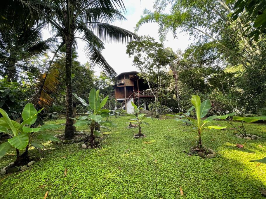 Caoni Riverside Lodge Puerto Quito Zewnętrze zdjęcie