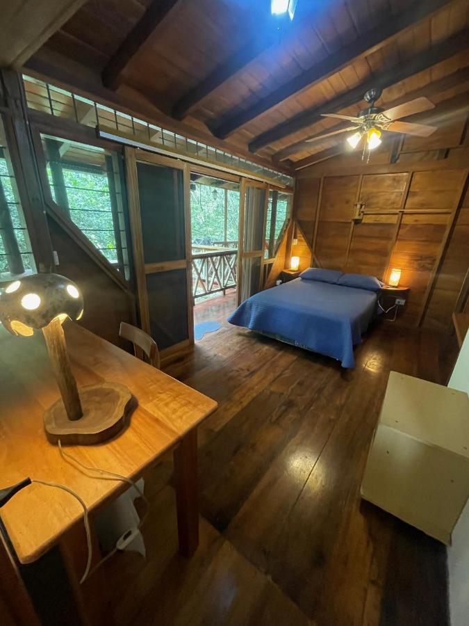 Caoni Riverside Lodge Puerto Quito Zewnętrze zdjęcie