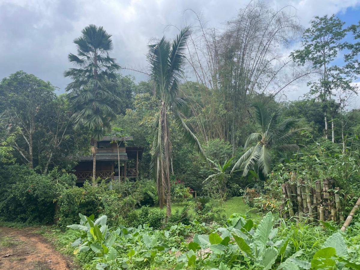 Caoni Riverside Lodge Puerto Quito Zewnętrze zdjęcie