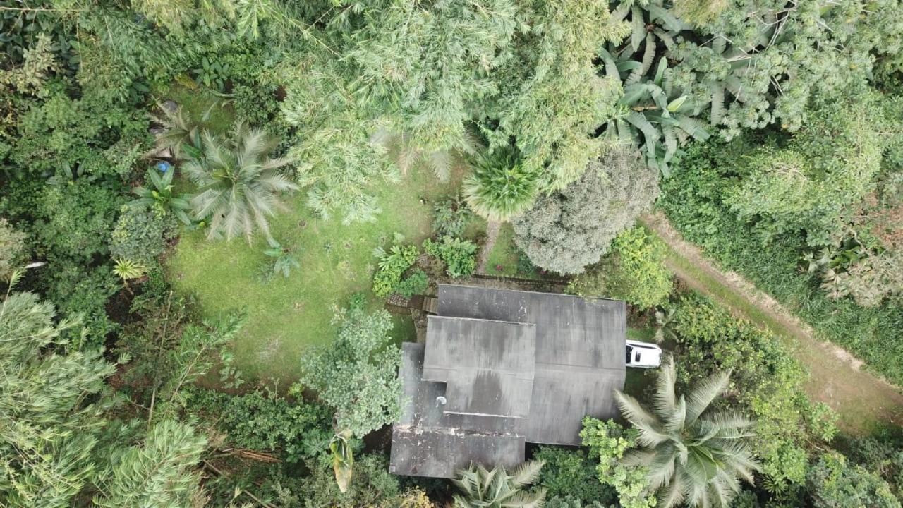 Caoni Riverside Lodge Puerto Quito Zewnętrze zdjęcie