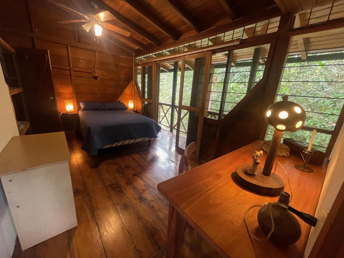 Caoni Riverside Lodge Puerto Quito Zewnętrze zdjęcie