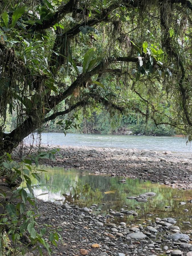 Caoni Riverside Lodge Puerto Quito Zewnętrze zdjęcie