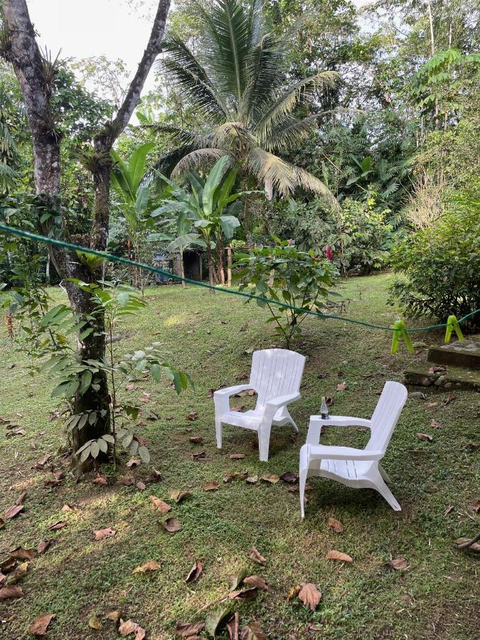 Caoni Riverside Lodge Puerto Quito Zewnętrze zdjęcie