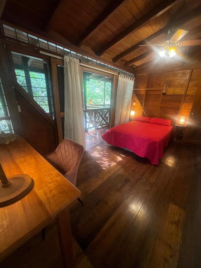 Caoni Riverside Lodge Puerto Quito Zewnętrze zdjęcie