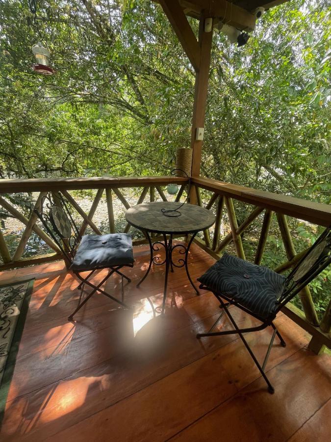 Caoni Riverside Lodge Puerto Quito Zewnętrze zdjęcie